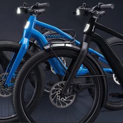 2022  Serial 1 Harley Davidson small And large Available 