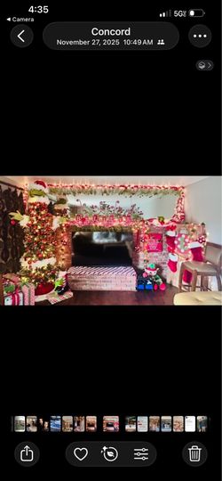 The Grinch Christmas everything included.
