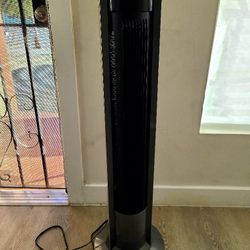 Electric Oscillating Fan