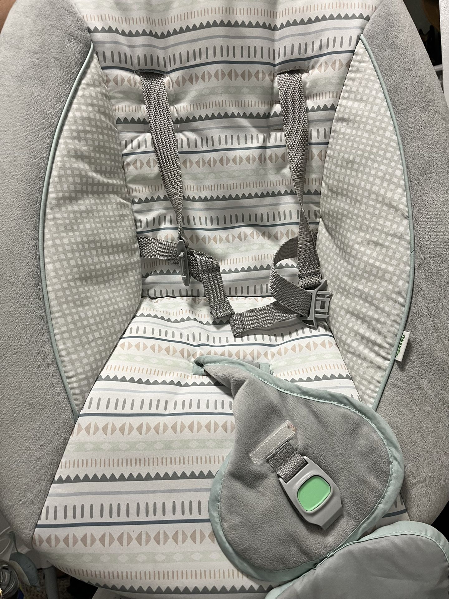 Swing And Bassinet
