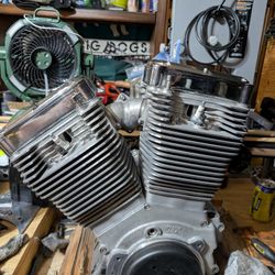 Harley EVO Motor (Ultima "El Bruto 113)