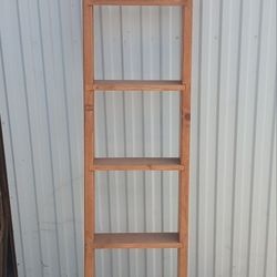 Bunk bed ladder