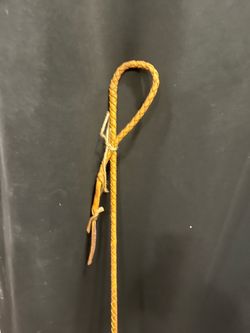 Training whip for horses or I guess you could or dogs you don’t hit them with that. You just snap it and get their attention or hit the ground if they