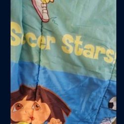 3 Dollar Sleeping Bag.  Clean 