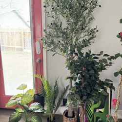 Fake Plants Of All Sizes