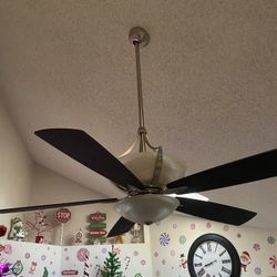 Ceiling Fan 
