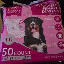 AKC Disposable (female dog) Diaper