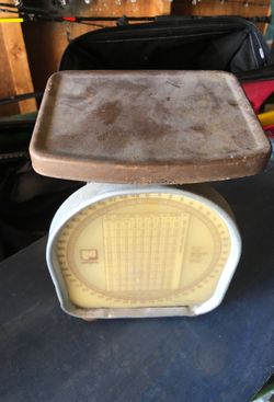 Scale old Pelosi brand
