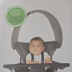 Baby Delight Deluxe Portable Chair 