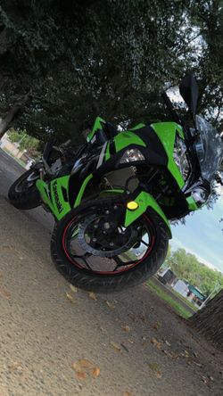 2014 Yamaha Ninja 300