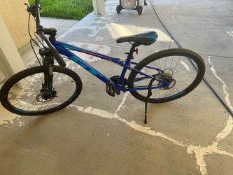Bike adult size