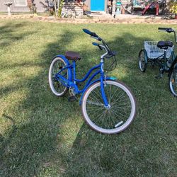 Schwinn Signiture Largo Edition