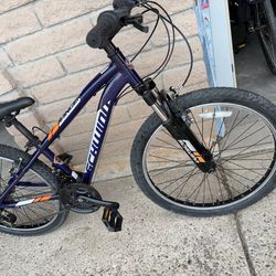 Youth schwinn ranger