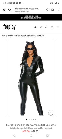 Fierce feline costume