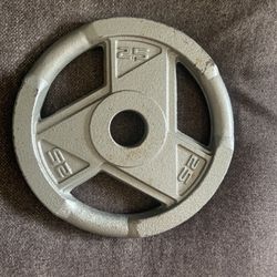 25 Pound Plate For Olympic Bar