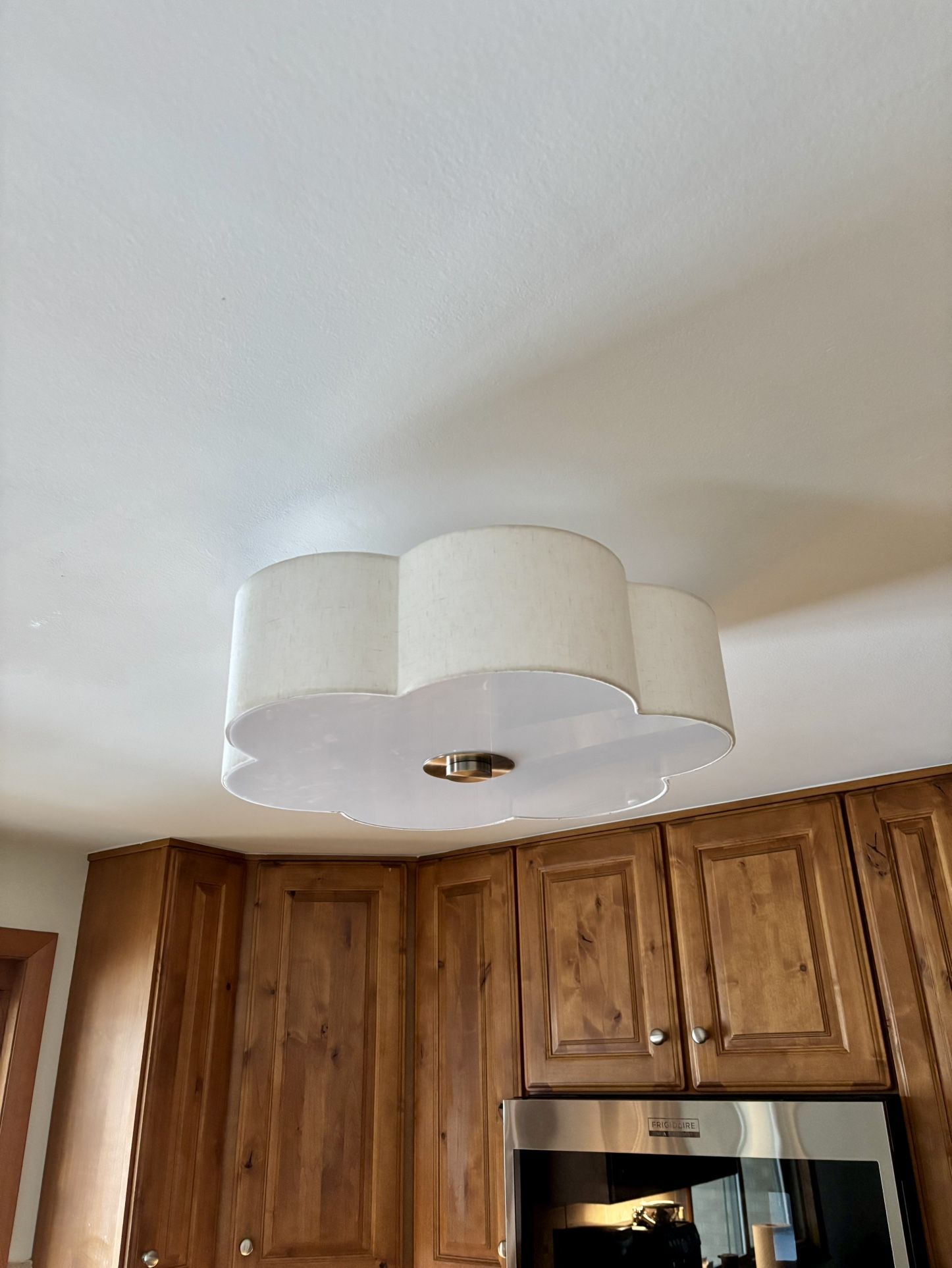 Flush Mount Ceiling Light