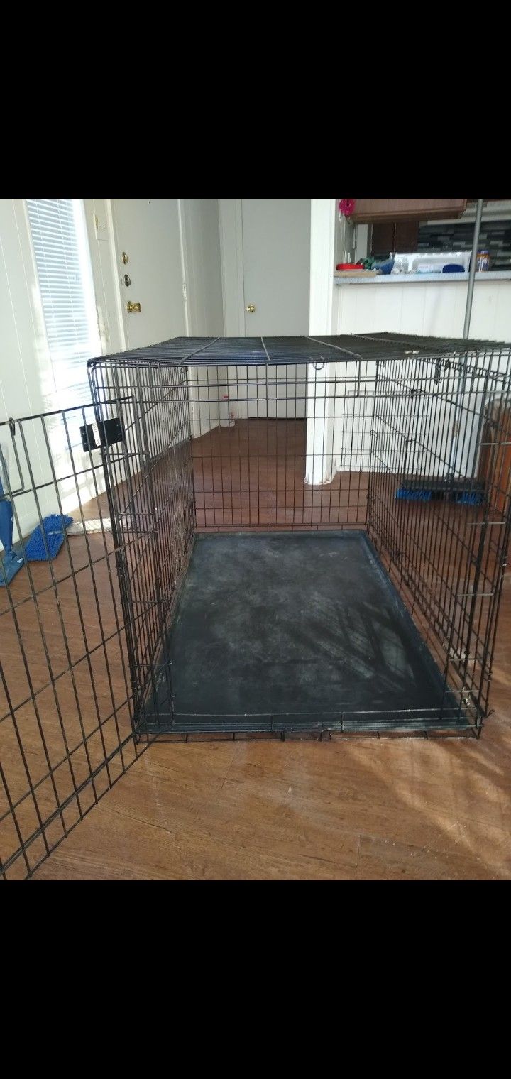 Dog kennel