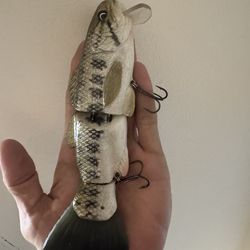 Matt lures meat head