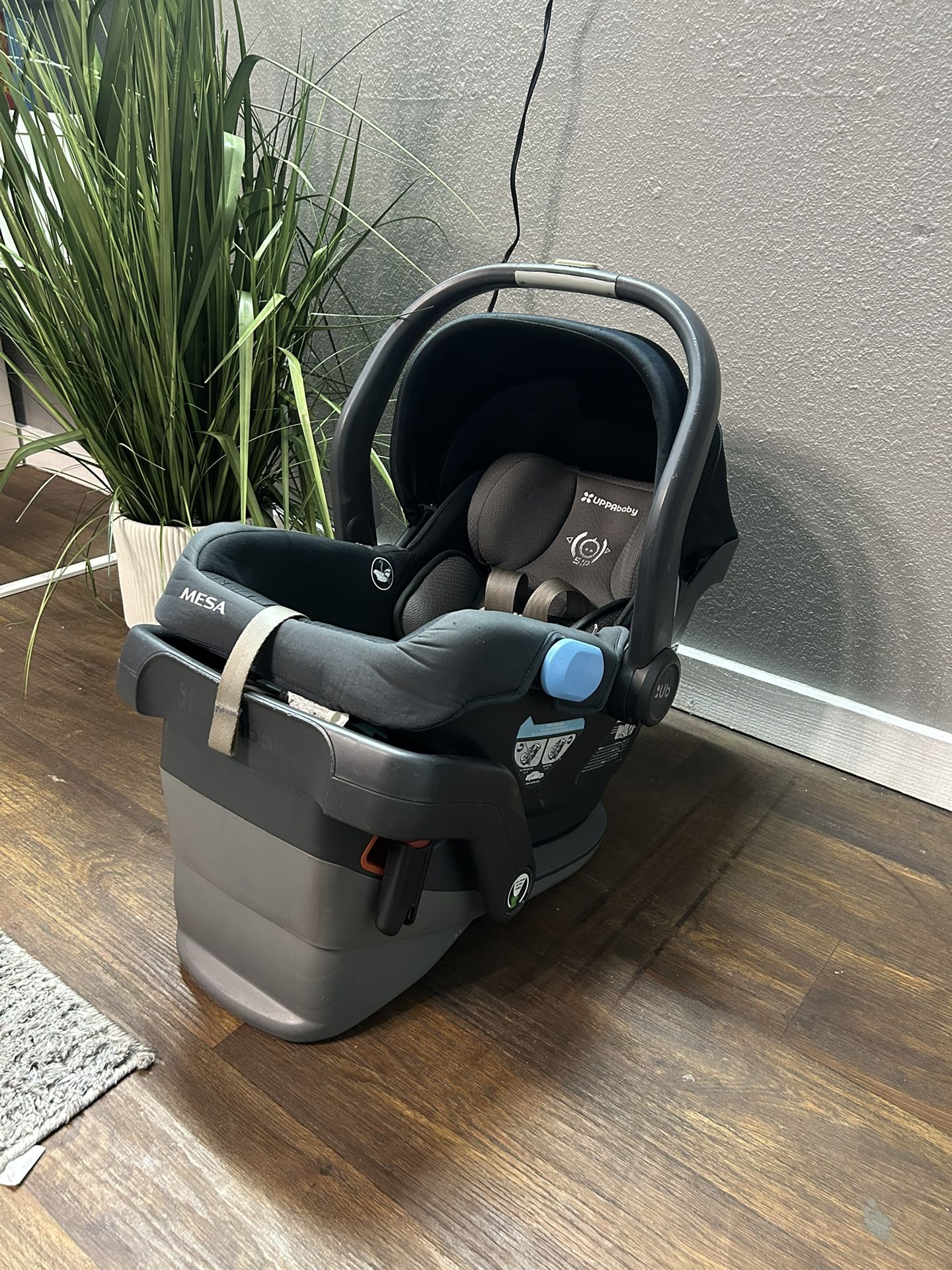 Uppababy Mesa Car seat