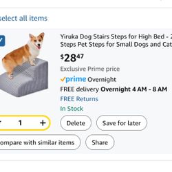 Doggy Stairs
