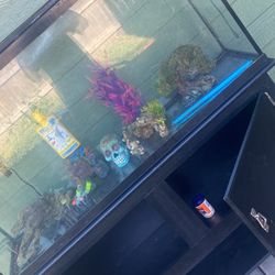 55 Gallon Fish Tank 
