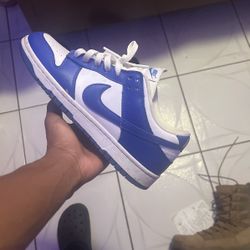 Royal Blue Dunks 