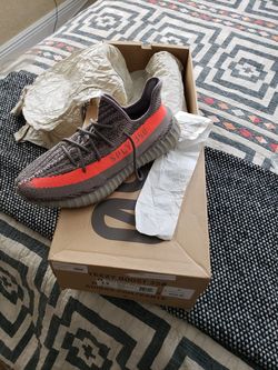 Yeezy 305 boost size 13