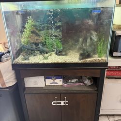 60 gallon fish tank with stand