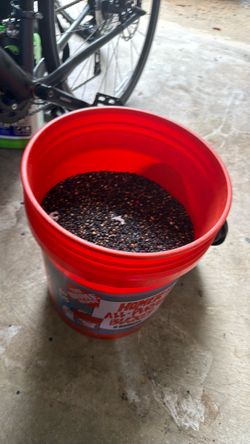 5-Gallon Bucket Filled with aquarium rocks
