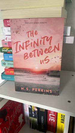 the infinity between us n.s perkins 
