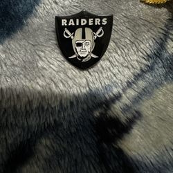 Raiders Metal Pins
