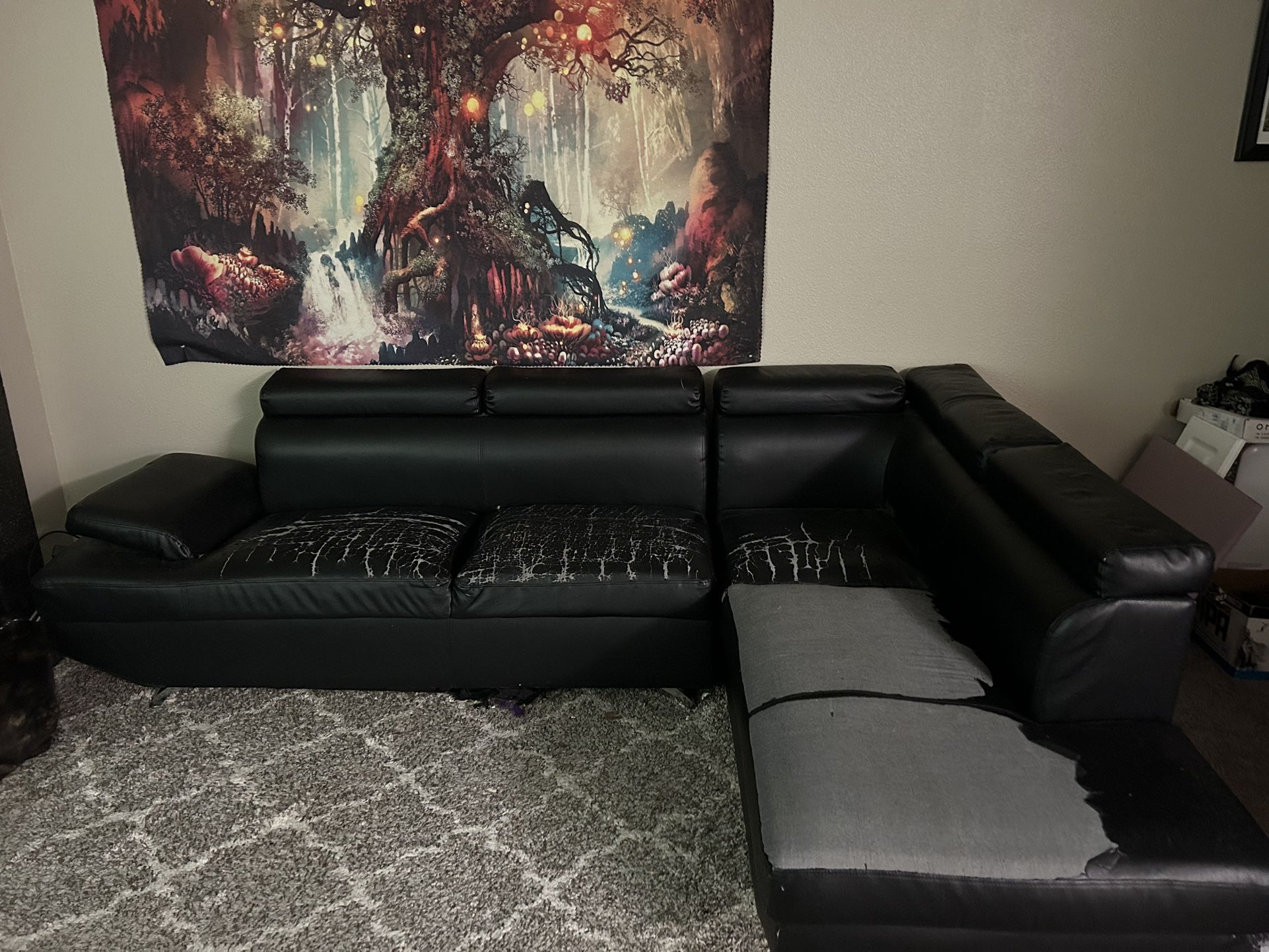 Couch sectional (free with pickup) 