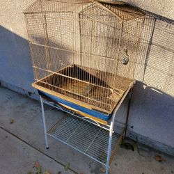 Bird Cage 