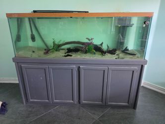 180 gallon aquarium