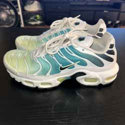 Nike Air Max Plus “Dusty Cactus”