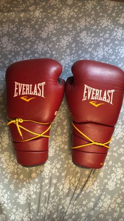Everlast boxing gloves