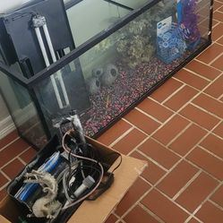 55 Gallon Aquarium Set Up.