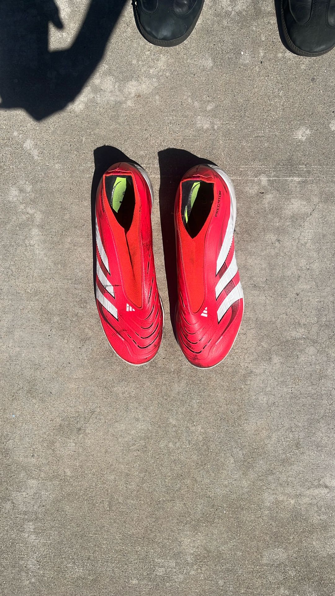 Adidas Predator Pro Laceless Turf Shoes