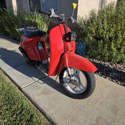 1986/1987 Honda Spree Scooter