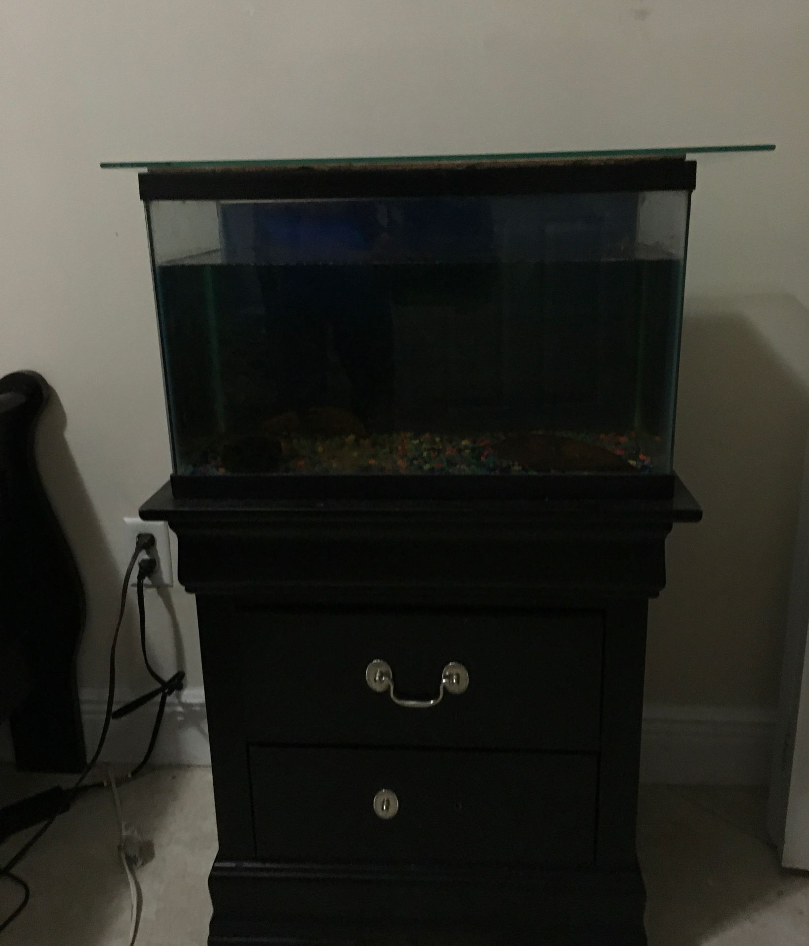 Fish tank pecera