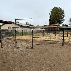 40ft Round Pen 5 Rail