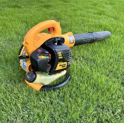 Poulan PRO Gas Blower- Does Not Start