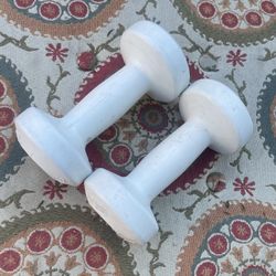  Sport Works 2.5 lb vinyl dumbbells 
