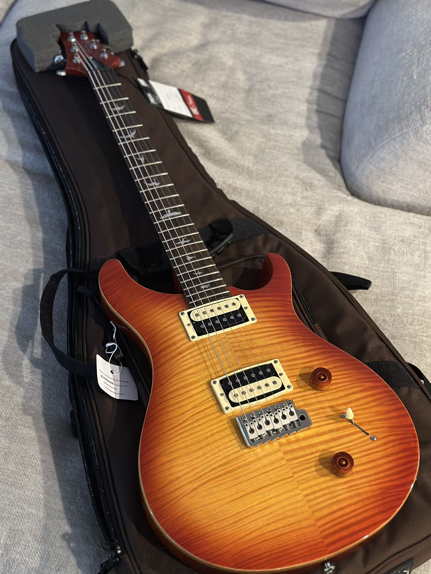 Electric Guitar PRS Custom Se 22