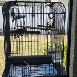 Bird Cage Large With Accessories 