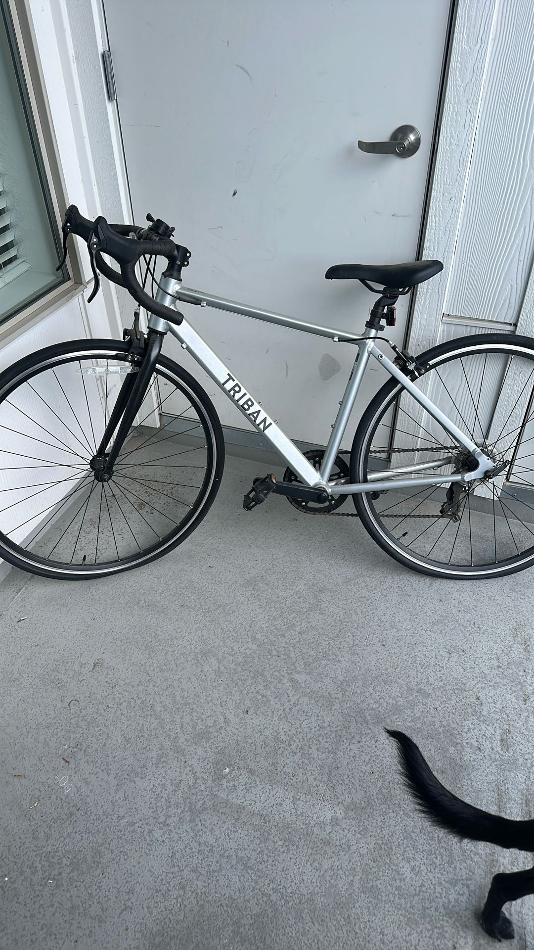 Two Road Bikes
