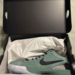 Nike Kobe  4 ProtoGirl Dad