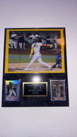 fernando tatis jr