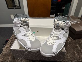 Retro Jordan 6s