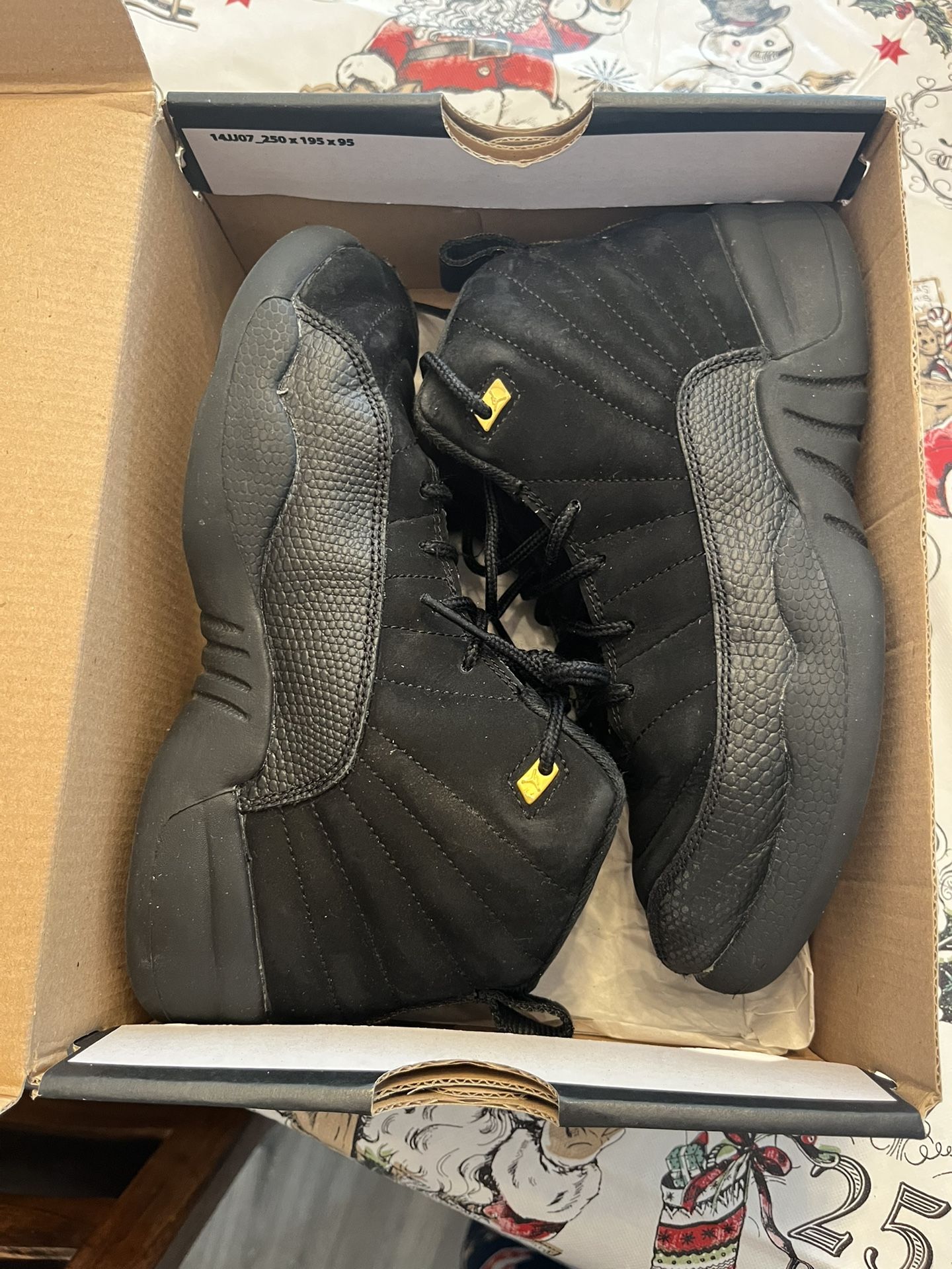 Jordan 12 Size 2y